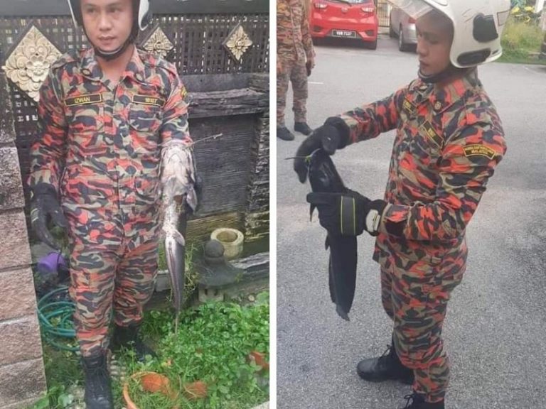 Bukan Saja Padam Api, Ini Kerja Bomba Yang Pasti Ramai Tak Sangka!