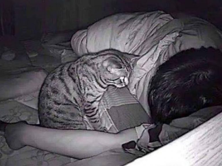 Kerap Tak Boleh Bernafas Bila Tidur Waktu Malam, Rupa-Rupanya…