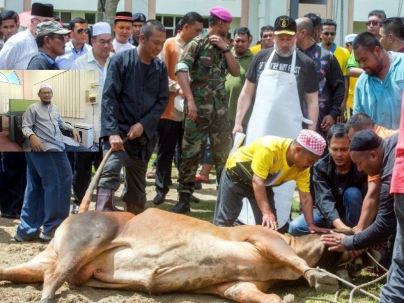 Benarkah Binatang Korban Akan Jadi Tunggangan Kita Di Akhirat? Ustaz Beri Penjelasan