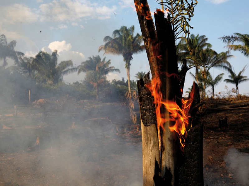 #PrayForAmazonia Ini Yang Korang Patut Tahu Tentang Kebakaran Di Hutan Hujan Amazon