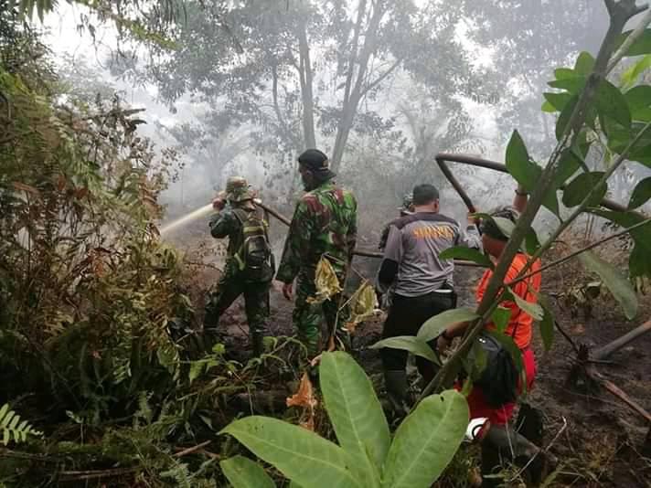Sedih! Gambar Orang Utan Lemas Dalam Asap Kebakaran Hutan Kalimantan Undang Simpati