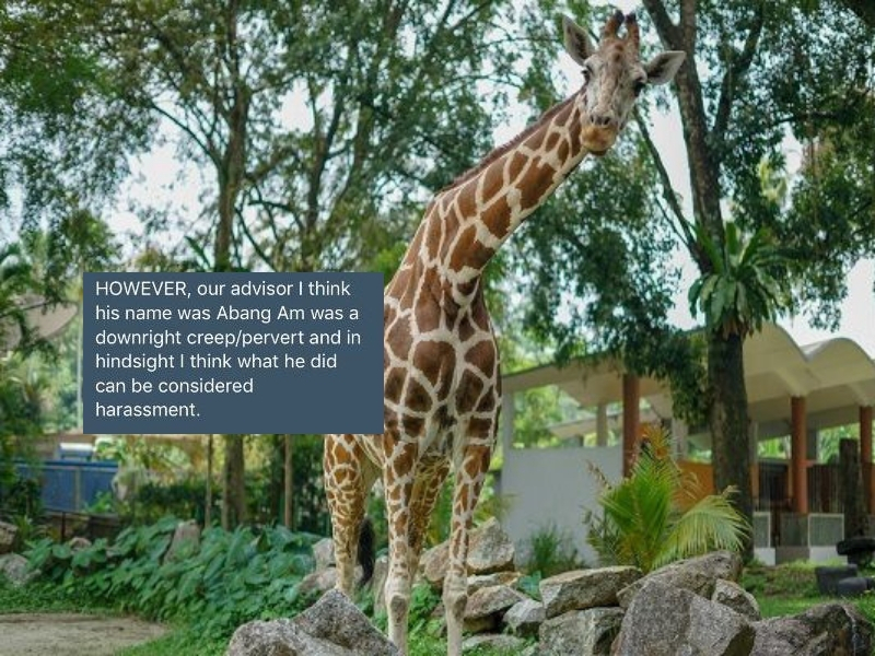Zoo Negara TERKENA Lagi, Kini Dengan Tuduhan Sukarelawan Dikacau