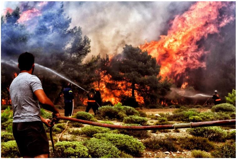 Kebakaran Besar Hutan Seluruh Dunia Petanda Kiamat Seperti Ditulis dalam Surah Al-Dukhan?