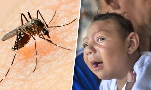 Muntah &#038; Cirit-Birit Petanda Awal Sebelum Ajal, Mangsa Pertama Meninggal Akibat Virus Zika