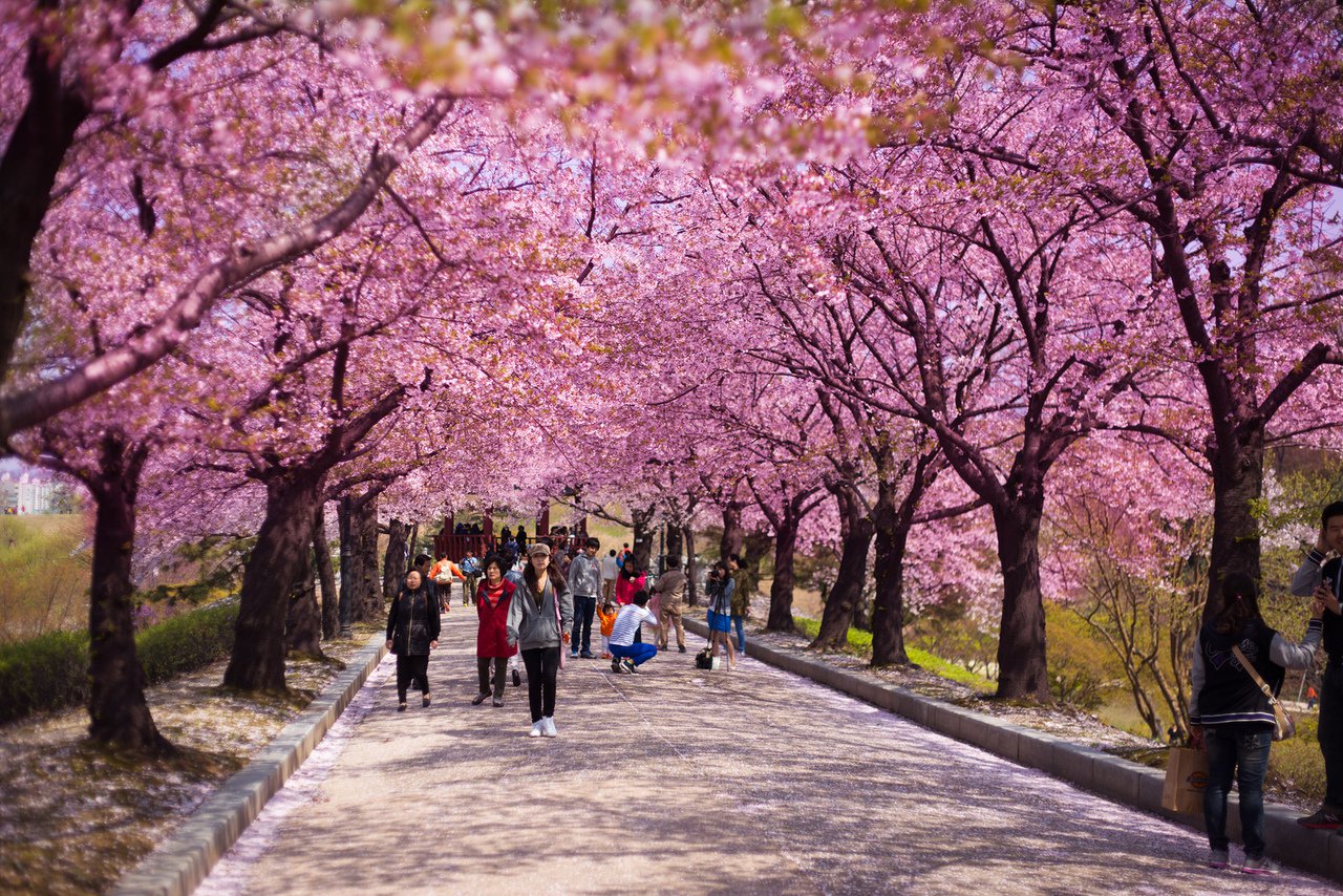 Travel Di 5 Bandar ‘Pink’ Ini, Serius Cantik Untuk OOTD