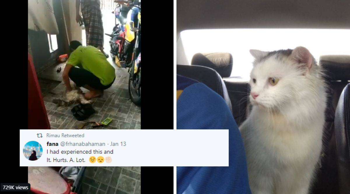 Lelaki Ini Kongsi Video Menangis &#8216;Teruk&#8217; Bila Kucing Kesayangan Mati, Netizen Turut Simpati