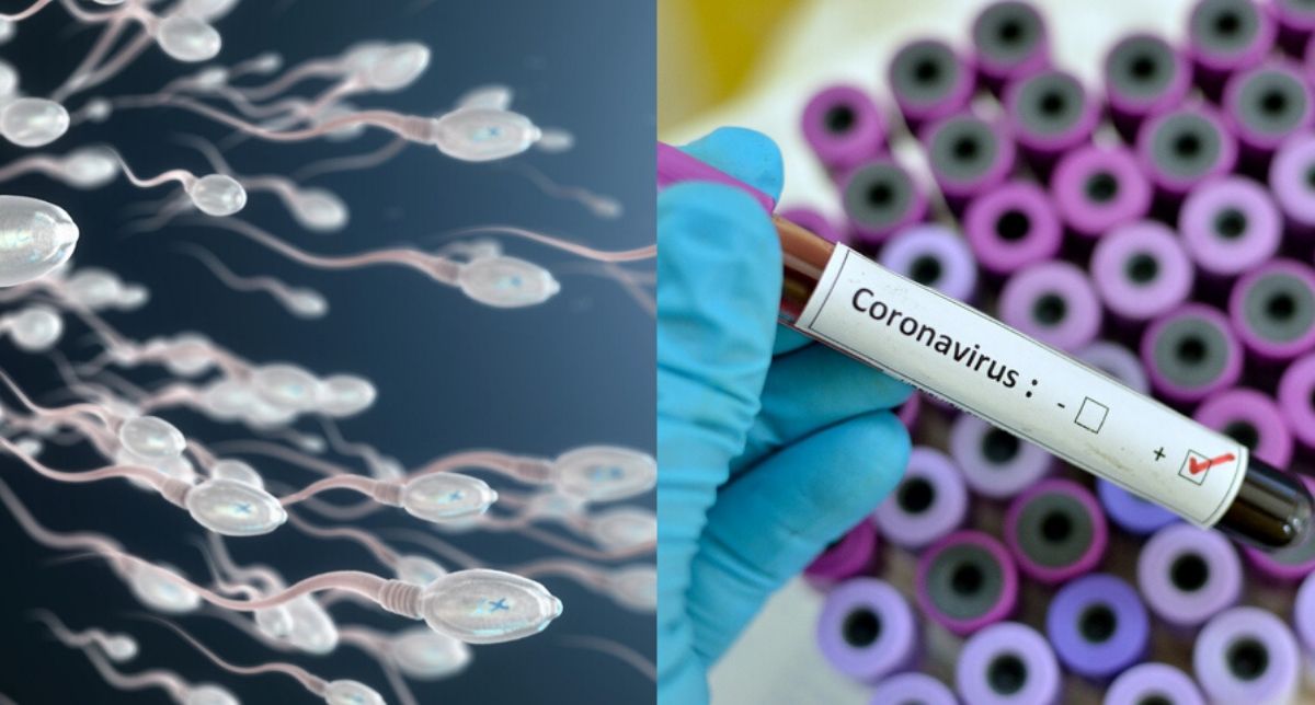 Awas, Kajian Buktikan Coronavirus COVID-19 Boleh Jejaskan Kesuburan Lelaki!