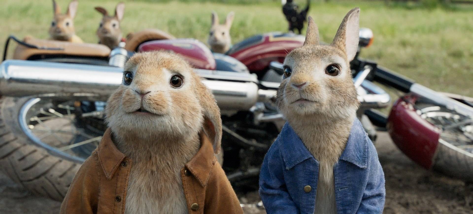Selepas Filem No Time To Die, Tayangan Peter Rabbit 2 Juga Ditunda Gara-Gara COVID-19