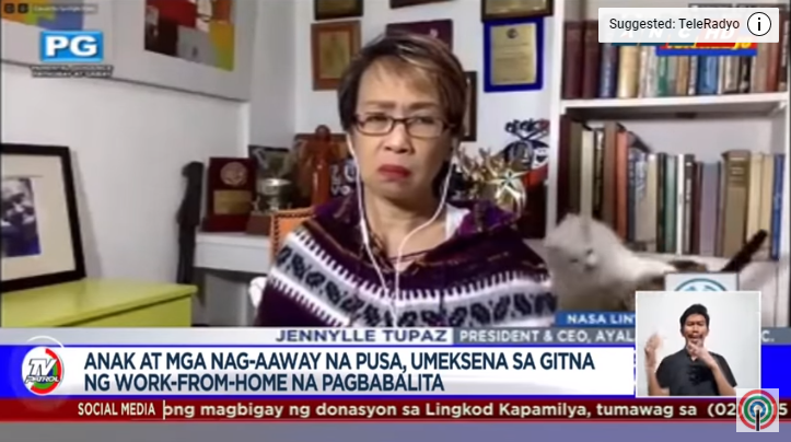 Wartawan Filipina Berusaha Kawal Reaksi Muka Bila Kucingnya Bergaduh Ketika Live Di Kaca TV