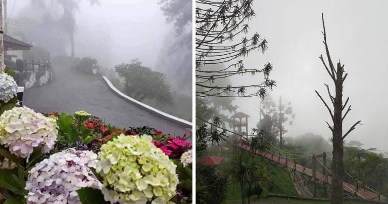 Lokasi ‘Tersembunyi’ Di Taiping Yang Bercuaca Sejuk, Sesuai Untuk Korang Yang Mahukan Ketenangan