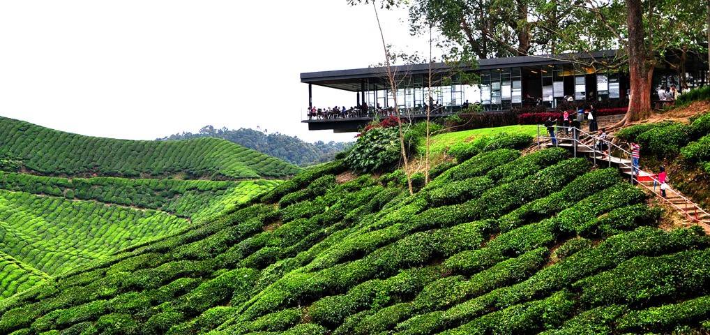 Genting Highland, Cameron Highland &#038; Bukit Fraser Dibuka Dalam Masa Terdekat