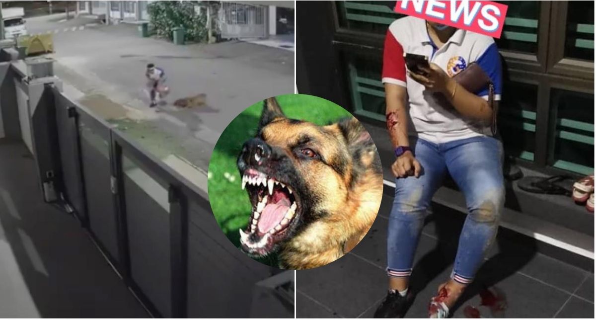 [Video] Perempuan Ini Cedera Digigit Anjing Depan Rumah, Apa Sepatutnya Dia Lakukan?