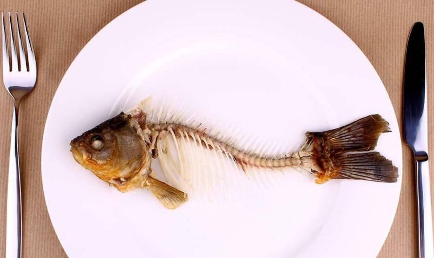 Ikan Mentah Antara 5 Makanan Yang Nampak Biasa Tapi Bahaya Untuk &#8216;Si Bulus&#8217;
