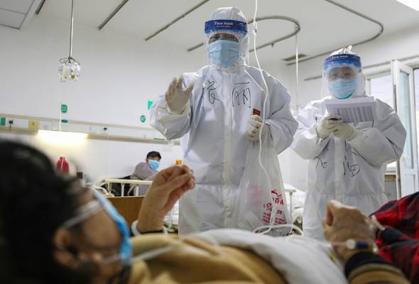 Virus Baru Tersebar Di China, 7 Maut Akibat Jangkitan Tick Borne Virus Disebabkan Kutu