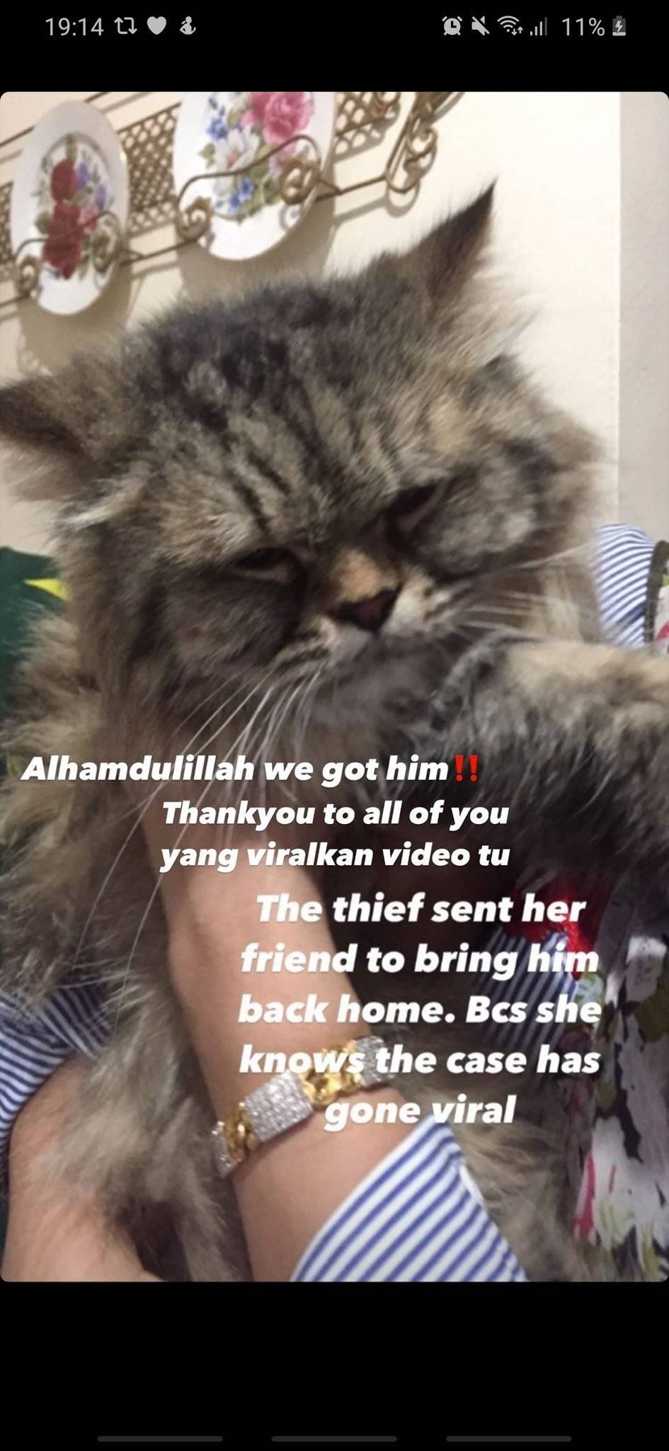 Kantoi Culik Kucing, Tak Perasan Tuan Rumah Ada CCTV! Kuasa Viral ANDY Dah Dapat Balik