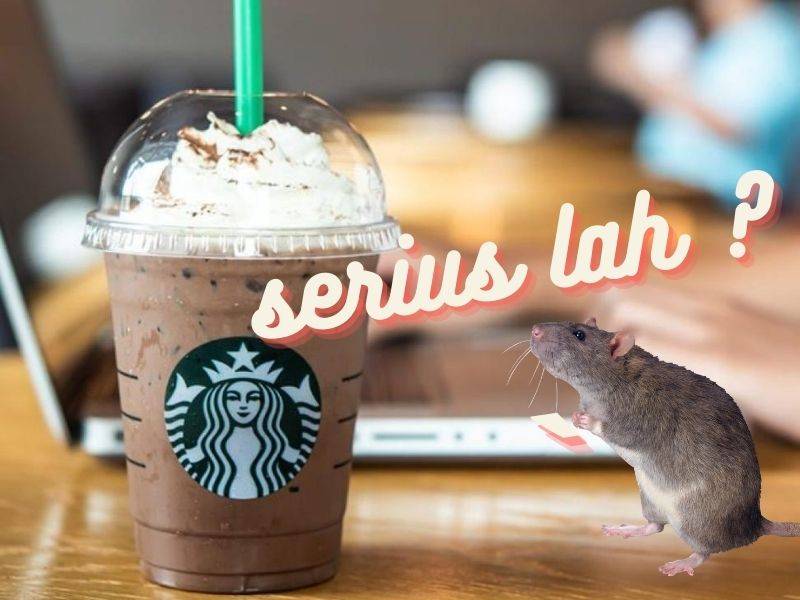 Biar Betul,  Ada Starbucks Di Malaysia Yang Penuh Dengan Tikus??