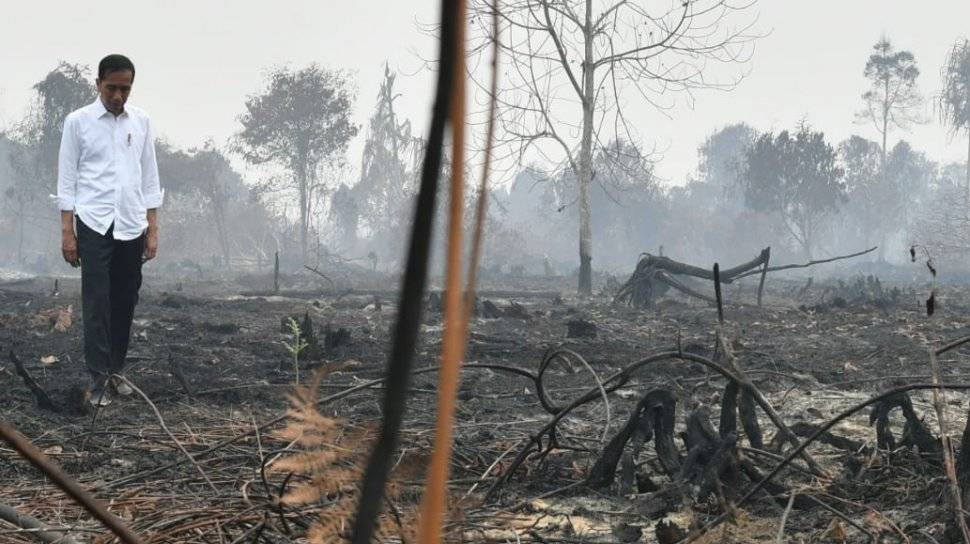 Lebih 1000 Hektar Hutan Terbakar Di Indonesia, Bersedialah Hadap Jerebu Rentas Sempadan Lagi