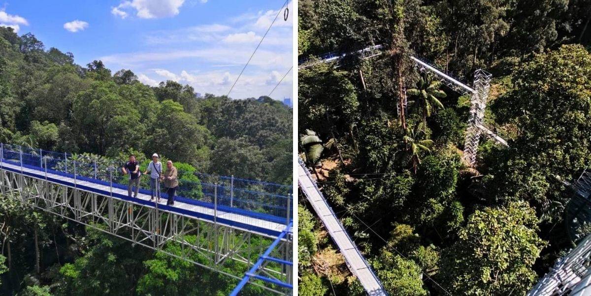 Forest Skywalk Tarikan Baru Warga Kota Beriadah Di FRIM, Ketinggian Menara Tinjau Mampu Lihat KLCC