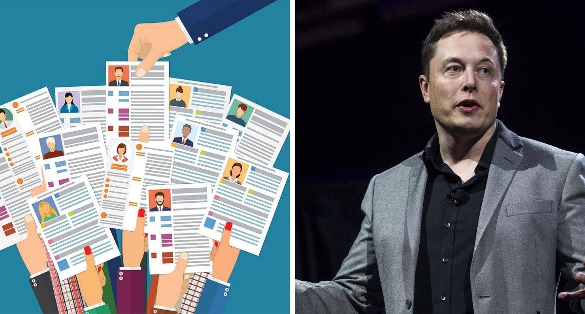 Less Is More, Contoh Resume Infografik Elon Musk Yang Patut Korang Tiru. Baru La 2020!