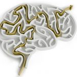 Brain-Maze_Small_codepast