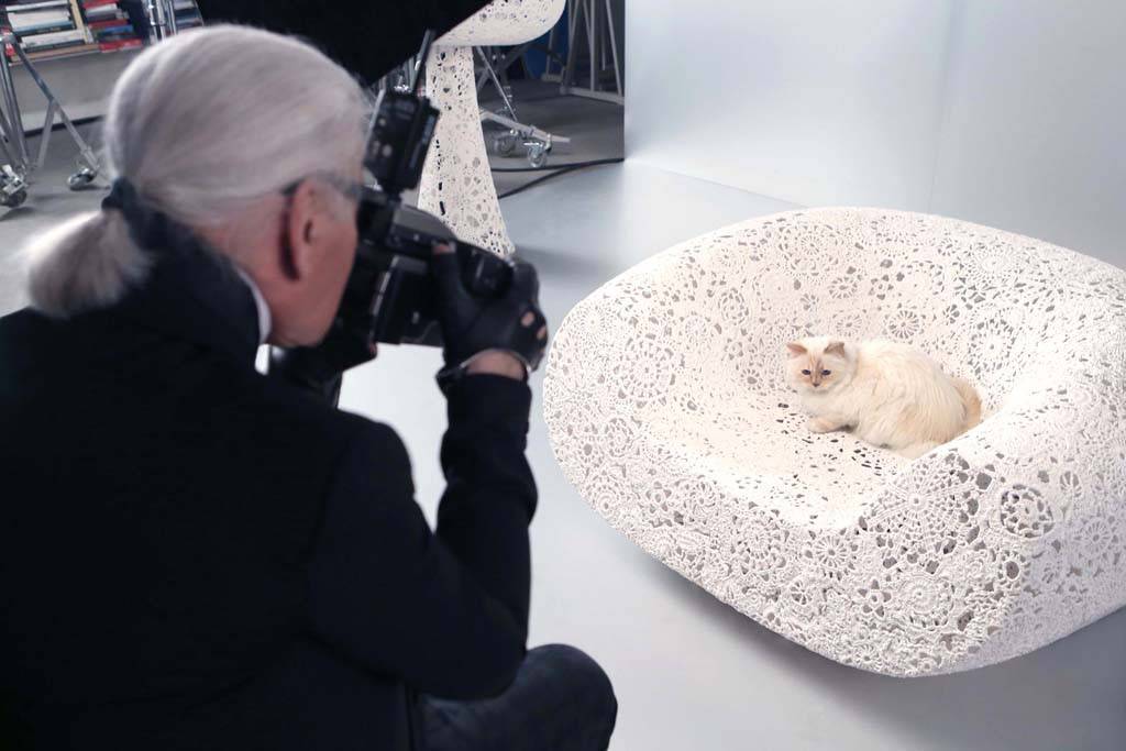 Kucing Putih Terkaya Didunia, Miliki Harta Bernilai RM815 Juta