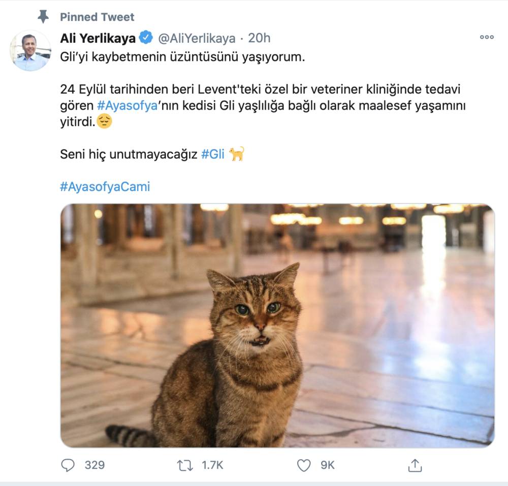 Gli, Si Kucing Popular Hagia Sophia Mati Pada Usia 16 Tahun. 