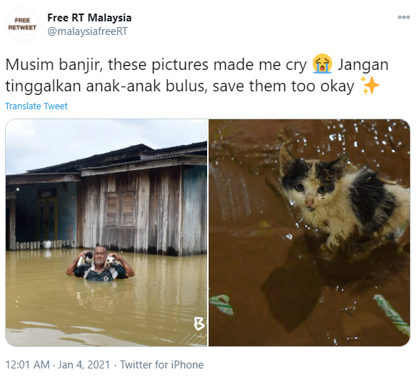 Tular Di Media Sosial, Netizen Risau Apa Nasib Kucing &#038; Haiwan Lain Ketika Banjir Besar