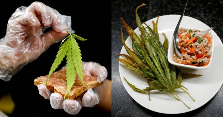 Restoran Di Hospital Menawarkan Menu Berasaskan Ganja. Dipercayai Mampu Mengurangkan Kesakitan Dan Keletihan