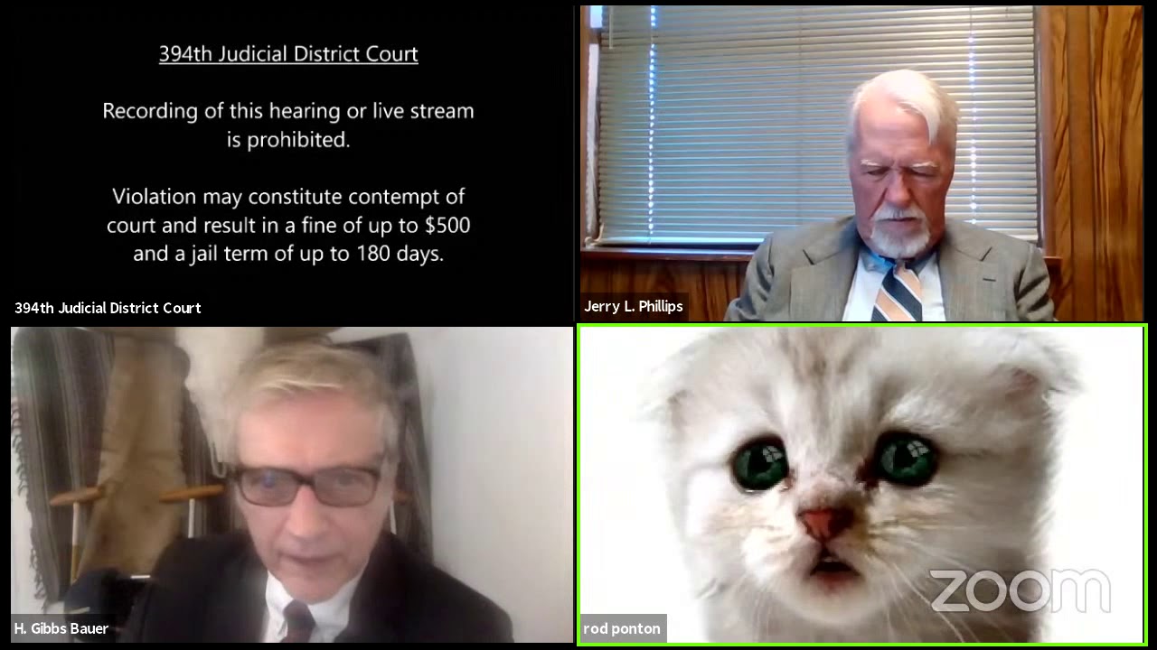 Peguam Hadir Prosiding Mahkamah Guna Zoom, Sebaliknya Keluar Filter Kucing
