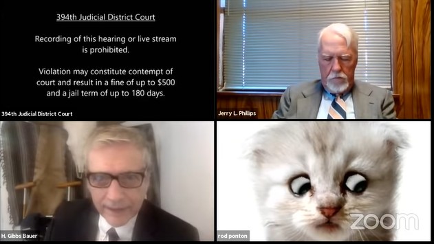 Peguam Hadir Prosiding Mahkamah Guna Zoom, Sebaliknya Keluar Filter Kucing