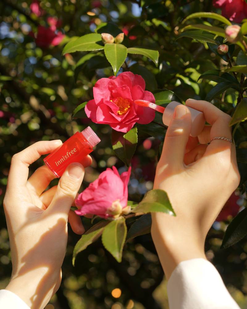 Tema Bunga Camellia Jadikan Mekap, Lihat Koleksi Tahunan innisfree Baru Ini