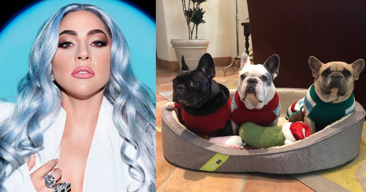 Lady Gaga Tawar RM2 Juta Cari Anjing Peliharaannya Yang Dicuri