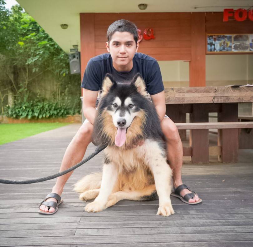 4 Selebriti Indonesia Terus Bela Anjing, Tak Peduli Cercaan Warganet