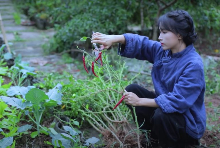 YouTuber China Catat Guinness World Records, Papar Kehidupan Tradisional Di Kampung
