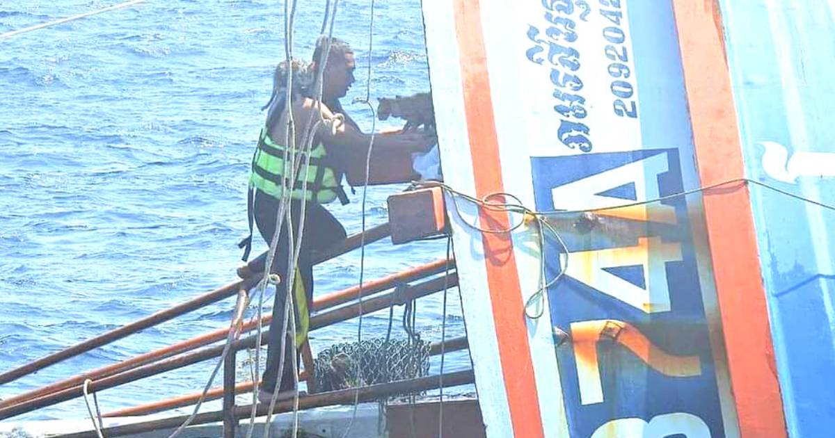 Tentera Laut Berenang Ke Kapal Yang Sedang Karam Demi Menyelamatkan Kucing