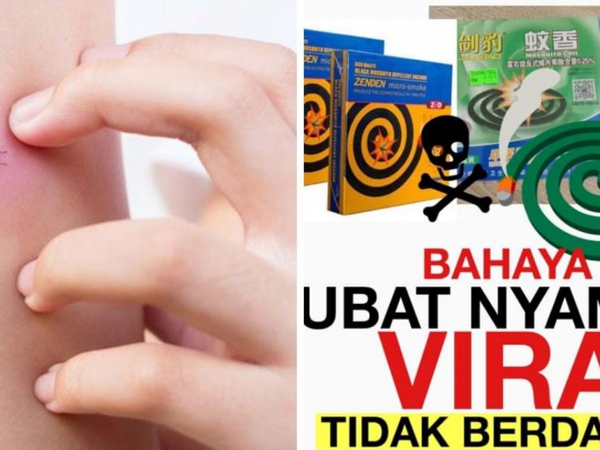 Berkesan Tapi Bahaya Untuk Kesihatan Ubat Nyamuk Viral Boleh Akibat Kanser Remaja