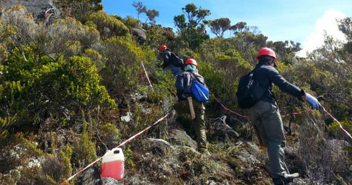 Aktiviti Mendaki Gunung Kinabalu Dibenarkan Beroperasi Mulai Jumaat Ini