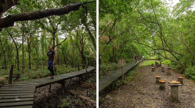 Dipenuhi Kehijauan Flora, Taman Rekreasi Paya Bakau Sijangkang Boleh Jadi Port Baru OOTD