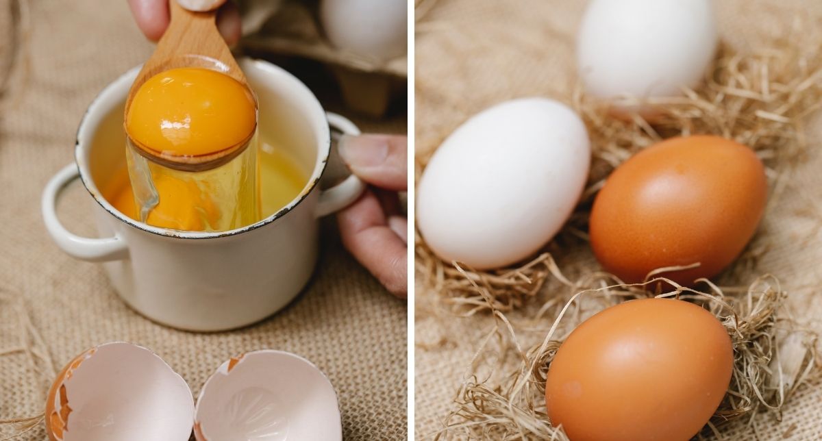 Telur Rosak Boleh Jadi Punca Kematian, Perhatikan 7 Tanda Ini Sebelum Beli