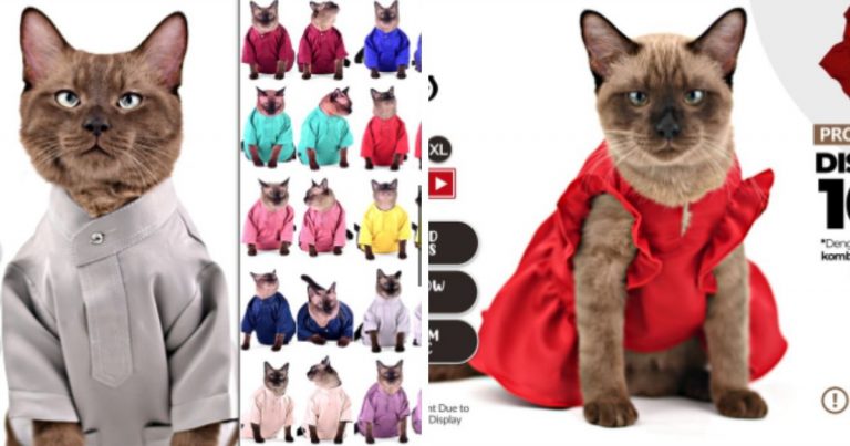 Kucing Pun Nak Beraya, Ini Antara Koleksi Baju Raya Buat Si Bulus Dijual Secara Online