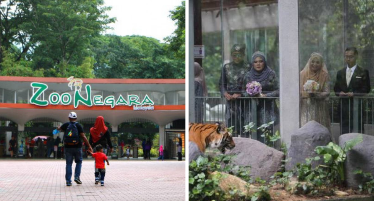 Luar Biasa.. Dua Pasangan Pengantin Ini Bersanding Di Zoo Negara..